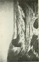 Picture 57 of 456 from Catalogue illustré (1879), leaf 111