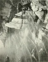 Picture 59 of 456 from Catalogue illustré (1879), leaf 111