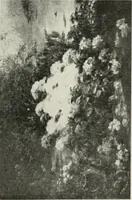 Picture 63 of 456 from Catalogue illustré (1879), leaf 112