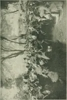 An illustration from Catalogue illustré (1879)