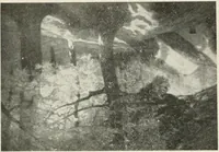 Picture 78 of 456 from Catalogue illustré (1879), leaf 120