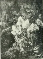 Picture 91 of 456 from Catalogue illustré (1879), leaf 127
