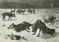 Picture 100 of 456 from Catalogue illustré (1879), leaf 132