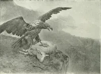 Picture 104 of 456 from Catalogue illustré (1879), leaf 135