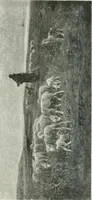 Picture 162 of 456 from Catalogue illustré (1879), leaf 161