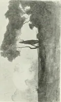 Picture 163 of 456 from Catalogue illustré (1879), leaf 161