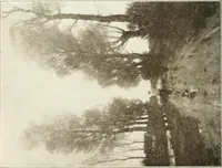 Picture 184 of 456 from Catalogue illustré (1879), leaf 171