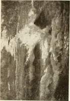 An illustration from Catalogue illustré (1879)