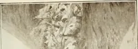 Picture 218 of 456 from Catalogue illustré (1879), leaf 188