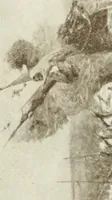 An illustration from Catalogue illustré (1879)