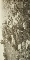 Picture 226 of 456 from Catalogue illustré (1879), leaf 191