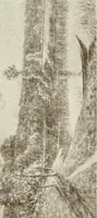 Picture 230 of 456 from Catalogue illustré (1879), leaf 192