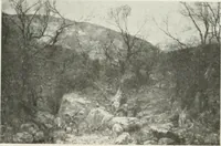 Picture 236 of 456 from Catalogue illustré (1879), leaf 194