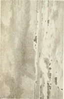 Picture 244 of 456 from Catalogue illustré (1879), leaf 199