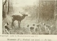 Picture 245 of 456 from Catalogue illustré (1879), leaf 199