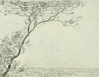 Picture 288 of 456 from Catalogue illustré (1879), leaf 221