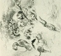 Picture 314 of 456 from Catalogue illustré (1879), leaf 233