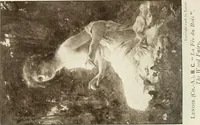 Picture 326 of 456 from Catalogue illustré (1879), leaf 239