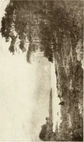 Picture 333 of 456 from Catalogue illustré (1879), leaf 243