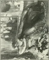 Picture 349 of 456 from Catalogue illustré (1879), leaf 249