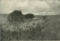 Picture 358 of 456 from Catalogue illustré (1879), leaf 254