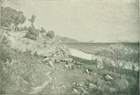 Picture 387 of 456 from Catalogue illustré (1879), leaf 269