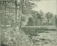 Picture 388 of 456 from Catalogue illustré (1879), leaf 269