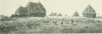 An illustration from Catalogue illustré (1879)