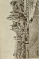 Picture 402 of 456 from Catalogue illustré (1879), leaf 276