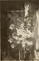 Picture 403 of 456 from Catalogue illustré (1879), leaf 276