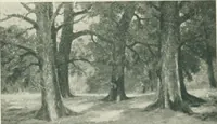 Picture 407 of 456 from Catalogue illustré (1879), leaf 278