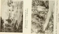 Picture 410 of 456 from Catalogue illustré (1879), leaf 279