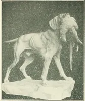 An illustration from Catalogue illustré (1879)