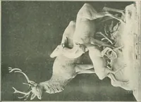 An illustration from Catalogue illustré (1879)