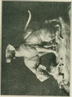 An illustration from Catalogue illustré (1879)