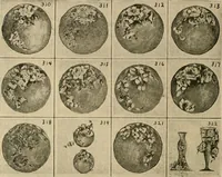 Picture 34 of 82 from Catalogue and instruction book. (1908), leaf 43