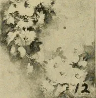 An illustration from Catalogue and instruction book. (1908)