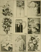 Picture 51 of 82 from Catalogue and instruction book. (1908), leaf 48