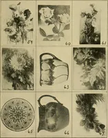 Picture 53 of 82 from Catalogue and instruction book. (1908), leaf 50