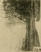 An illustration from Catalogue and instruction book. (1908)