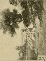 An illustration from Catalogue and instruction book. (1908)