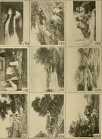 Picture 75 of 82 from Catalogue and instruction book. (1908), leaf 61