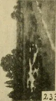 Picture 79 of 82 from Catalogue and instruction book. (1908), leaf 64
