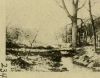 Picture 80 of 82 from Catalogue and instruction book. (1908), leaf 64
