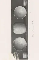 Picture 13 of 15 from Catalogue of the Le Blond collection of Corean pottery (1918), leaf 102