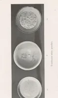 An illustration from Catalogue of the Le Blond collection of Corean pottery (1918)