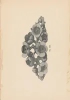 An illustration from Catalogue of magnificent collection of antique carvings and things Buddhistic from temples and palaces of Japan and China, .. (1903)