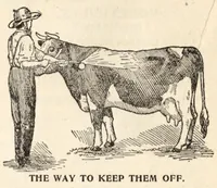 An illustration from Catalogue and net price list : Peaslee-Gaulbert Co., Incorporated, Louisville, Kentucky, manufacturers of paints and varnishes. (1915)