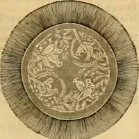 Picture 156 of 295 from Catalogue no. 52. (1886), leaf 36