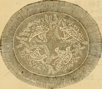 An illustration from Catalogue no. 52. (1886)